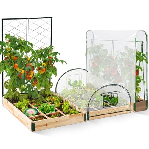 IDMarket kit complet 3 carrés potagers modulaires + serre à tomates